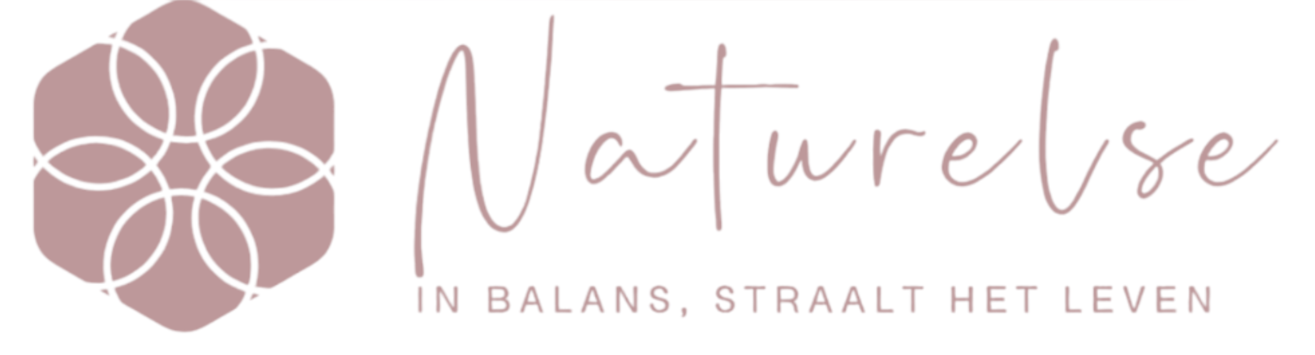 naturelse logo